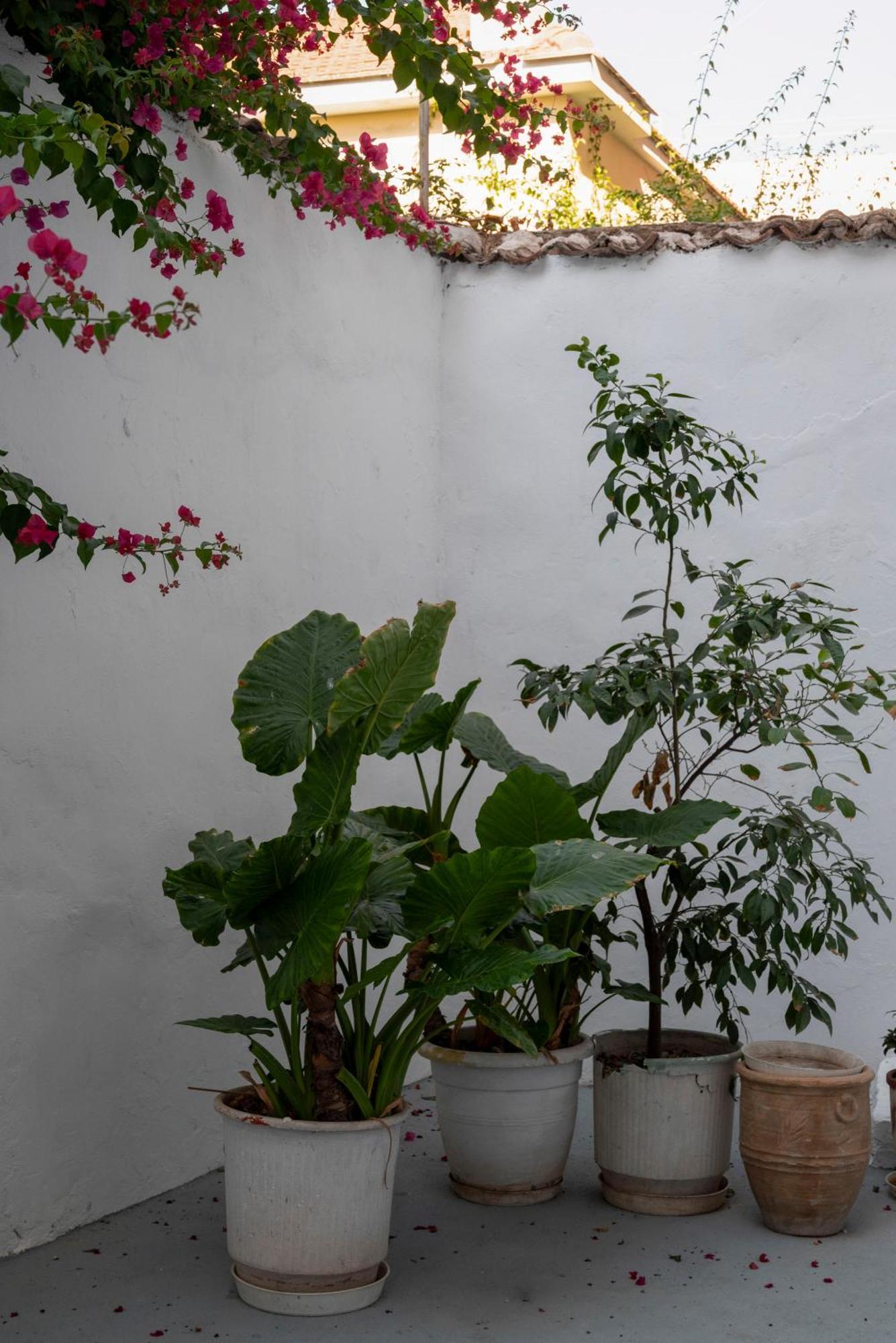 Thissio Getaway 2Ba Next To Athens Ancient Market Exterior photo