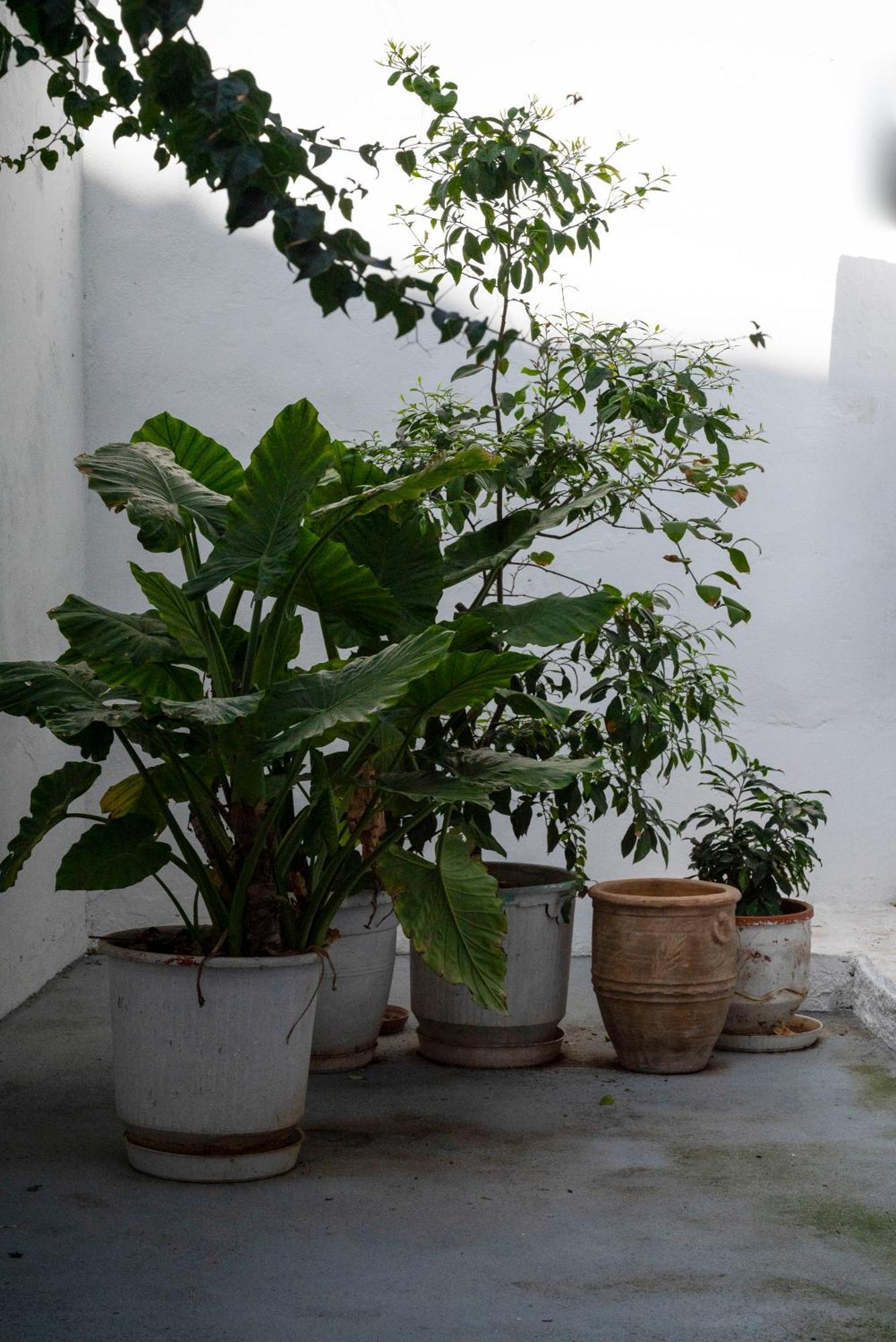 Thissio Getaway 2Ba Next To Athens Ancient Market Exterior photo